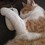 StaceyB